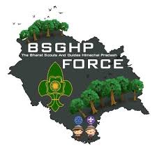 BSG HP Logo