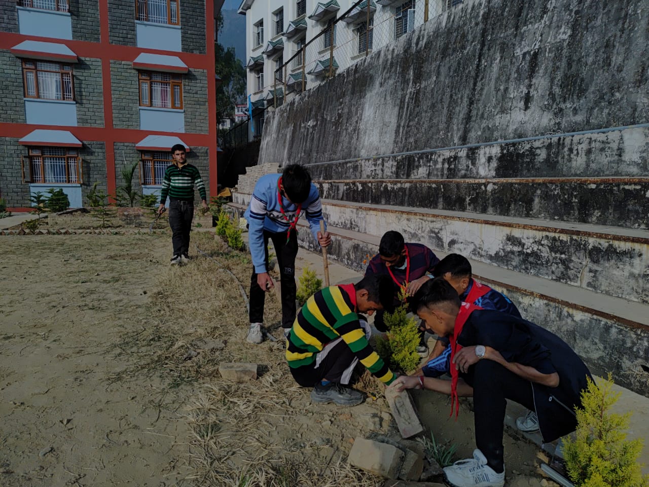  service activity image.